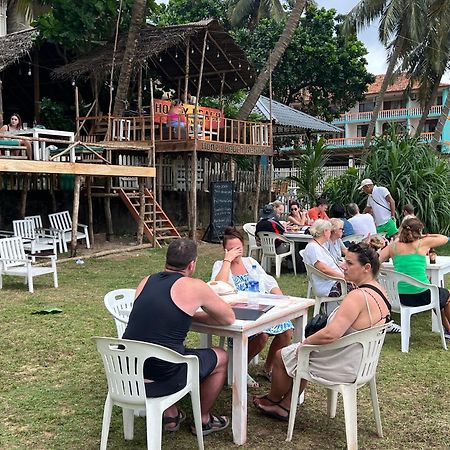 Honey Beach Hostel نيجومبو المظهر الخارجي الصورة