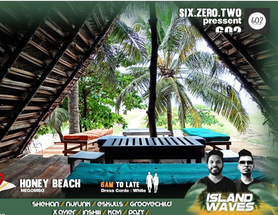 Honey Beach Hostel نيجومبو المظهر الخارجي الصورة